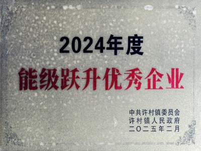 能級躍升優(yōu)秀企業(yè)